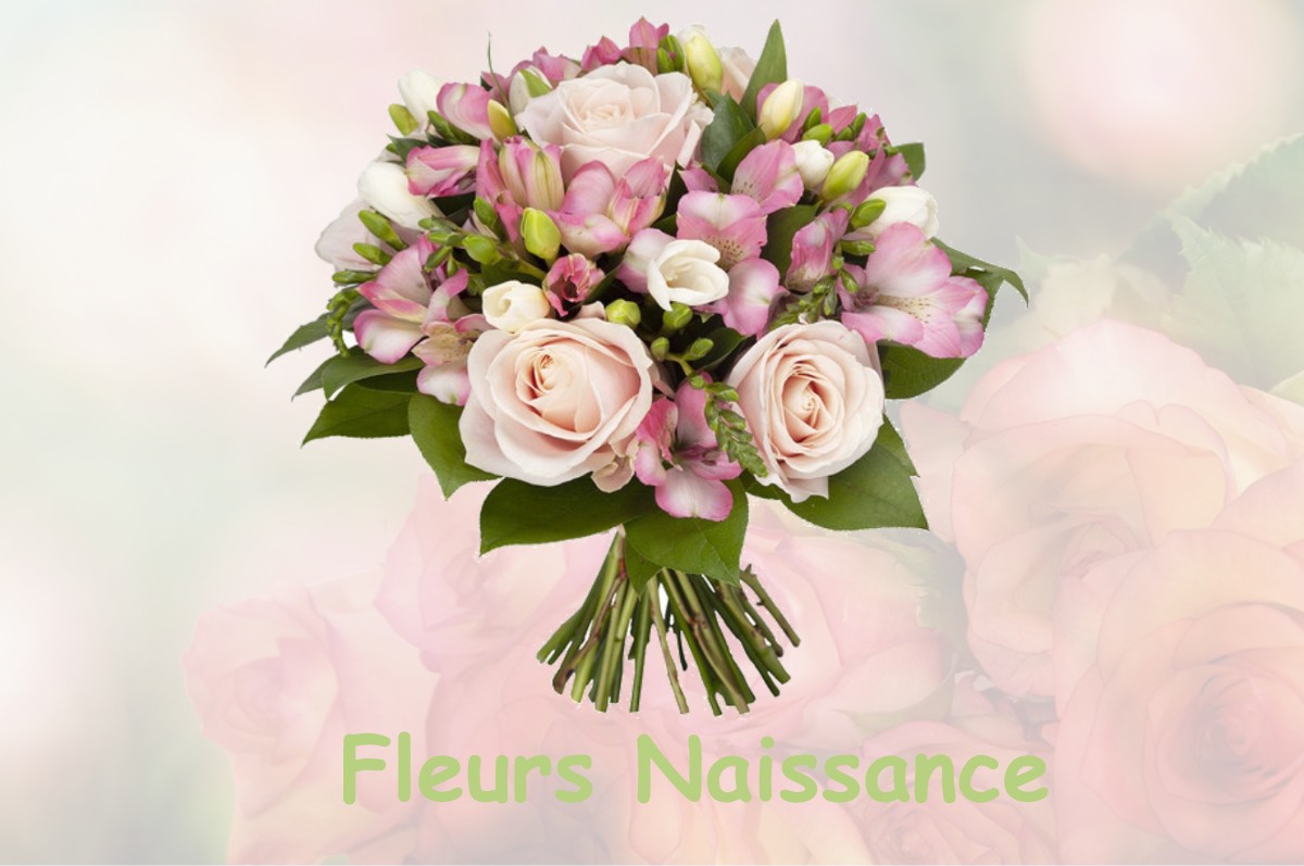 fleurs naissance SAINT-FRANCOIS-LONGCHAMP